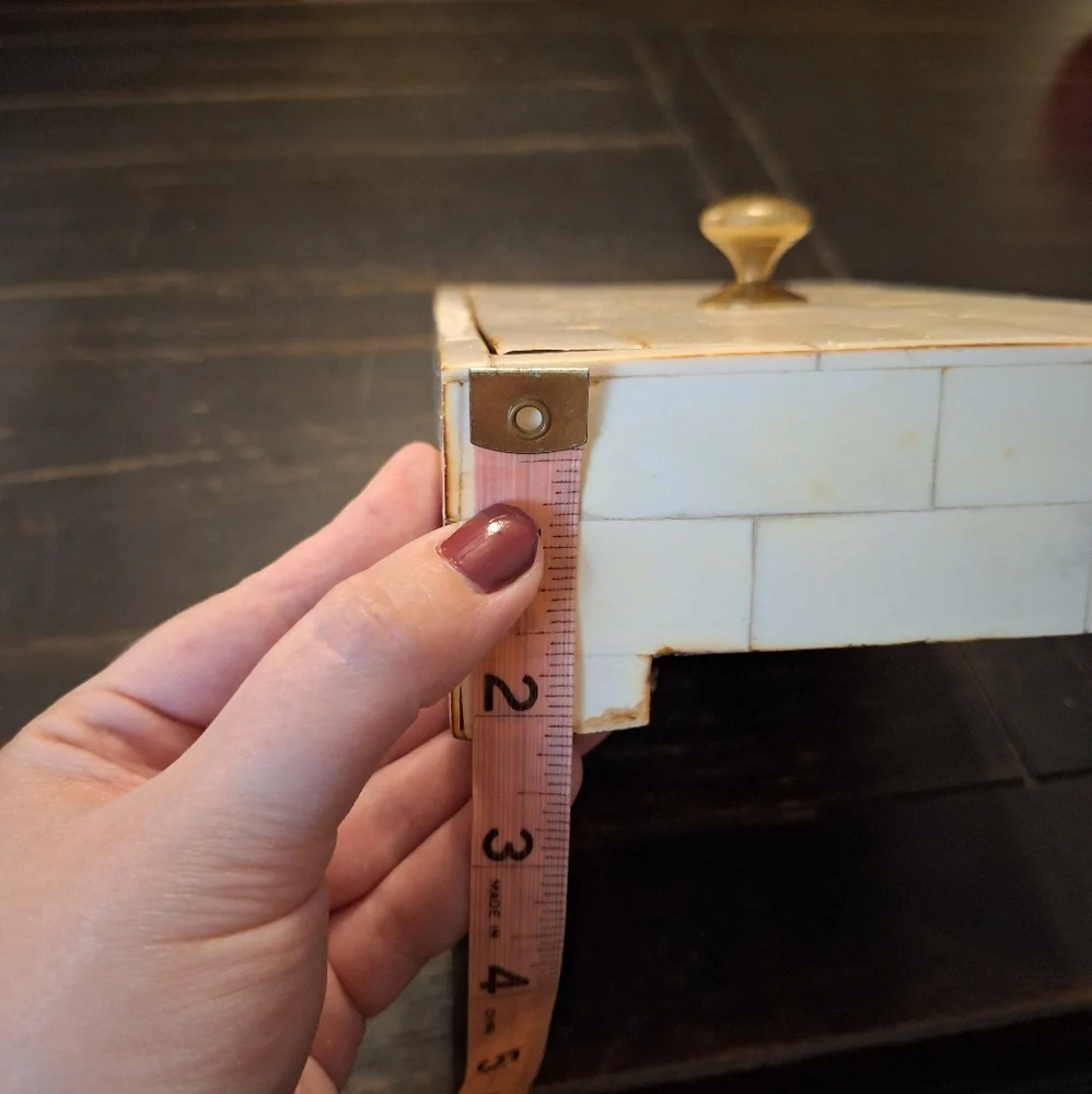 Bone and Brass Box